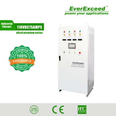 Standard Grid/PV Everexceed 1 or 3 Phase Substation Battery Charger Manufacturer